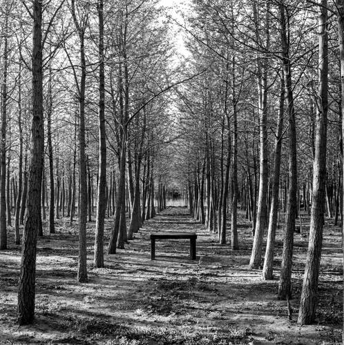 Spring-the same place